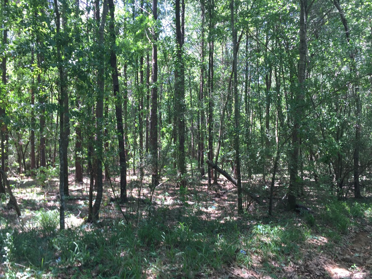 0 Mt. Salus Dr, Clinton, MS 39056 | LoopNet