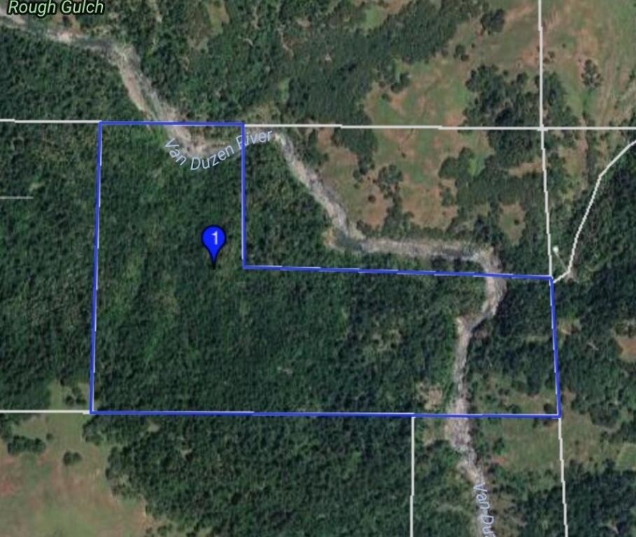 1 Bloody Rund Rdg, Bridgeville, CA 95526 Land for Sale