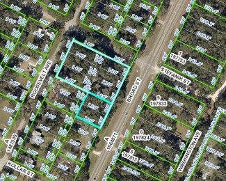 More details for 0 Broad St, Brooksville, FL - Land for Sale