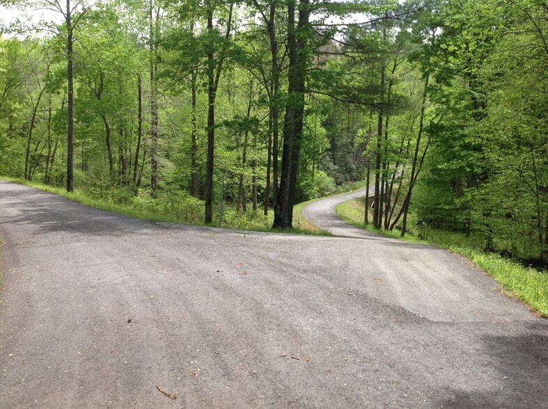 Ridge Rd, Ferguson, NC for sale - Other - Image 2 of 11