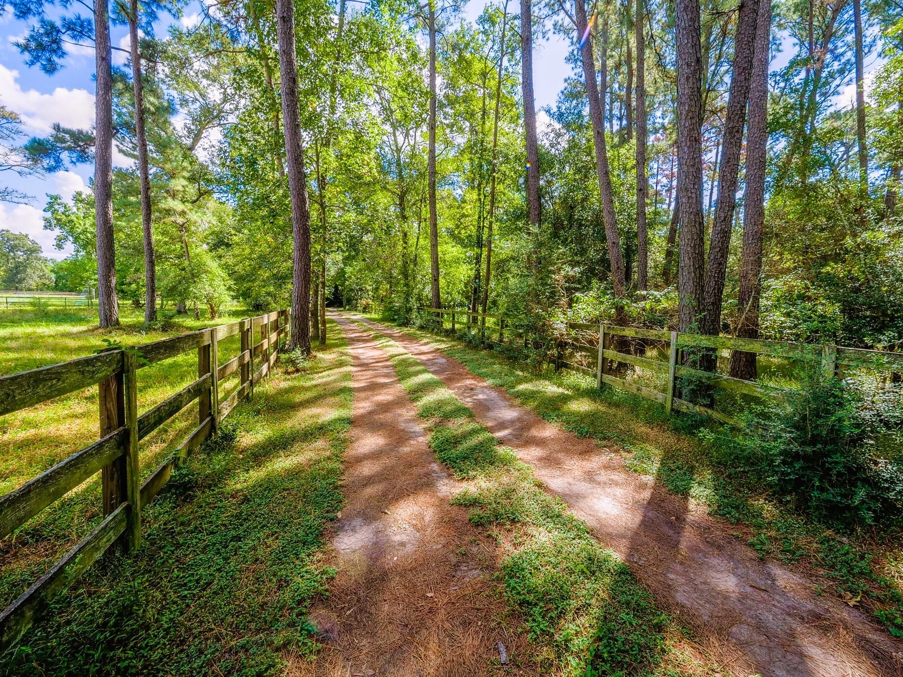 39526 Cimarron Way, Magnolia, TX for sale Primary Photo- Image 1 of 36