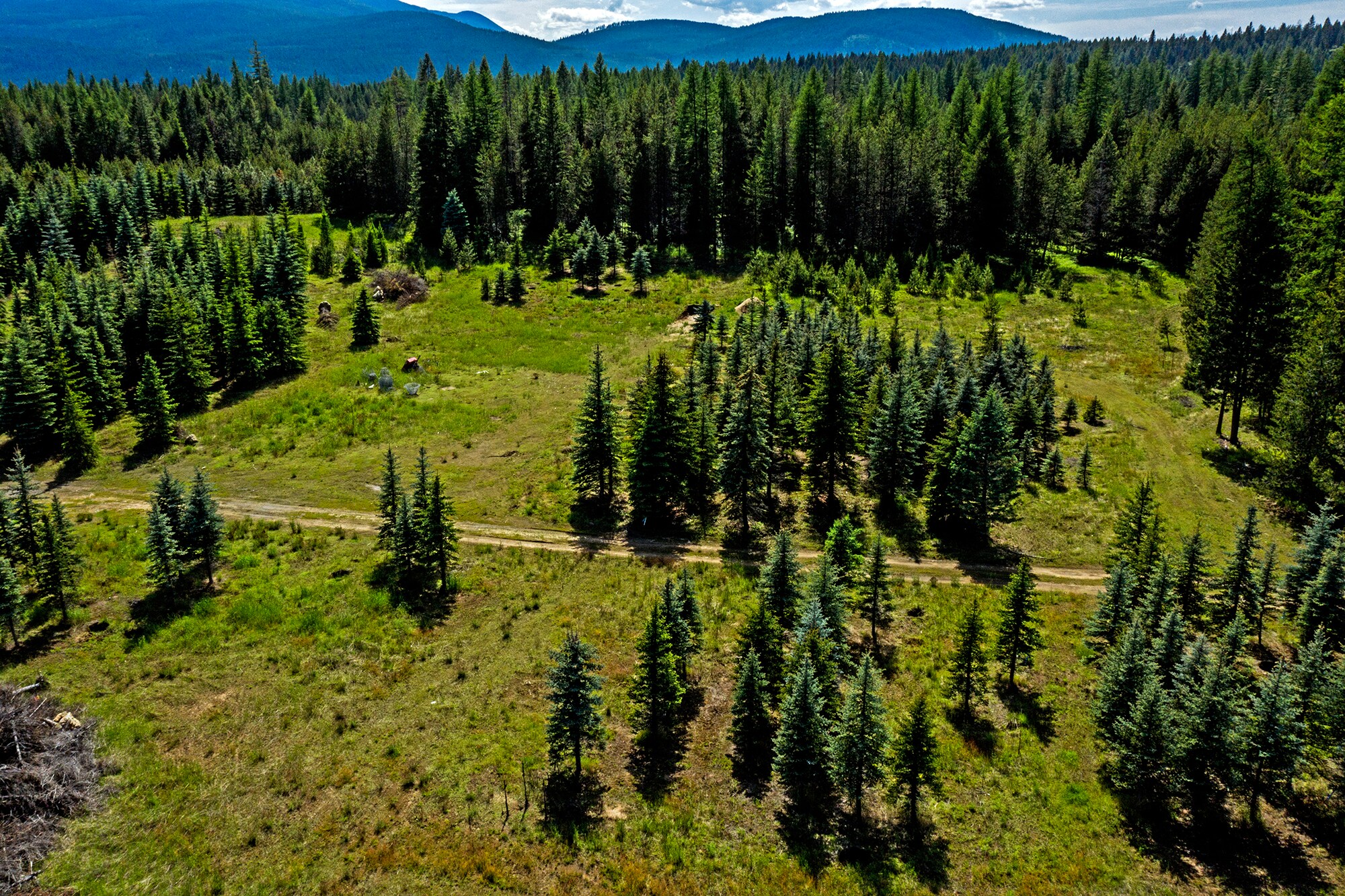 NNA Firehouse rd, Moyie Springs, ID 83845 NNA Firehouse Rd