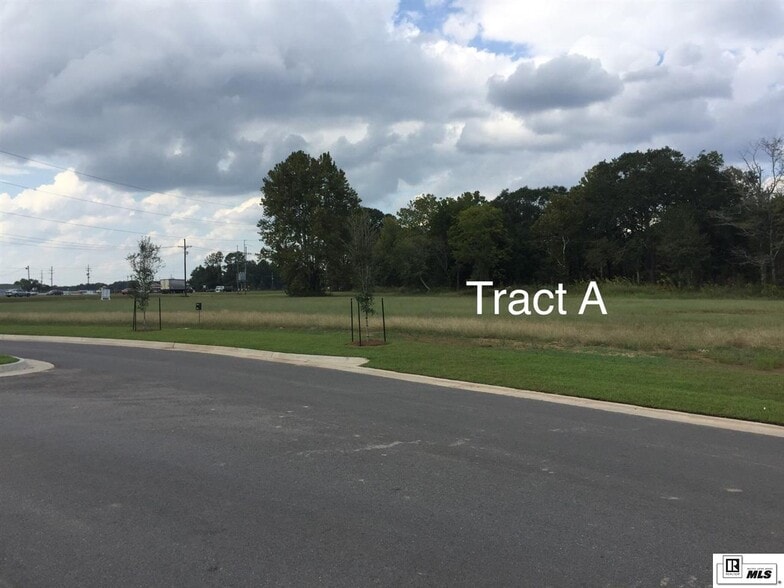 0 Hwy 165, Sterlington, LA for sale - Other - Image 3 of 4