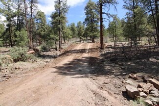 More details for 2116 County Road, Pagosa Springs, CO - Land for Sale