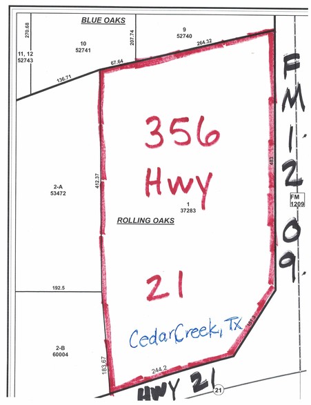 356 State Highway 21 And FM 1209, Cedar Creek, TX for sale - Other - Image 1 of 1