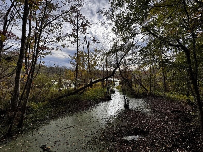 Coon Hop Rd, Hardaway, AL for sale - Building Photo - Image 3 of 5