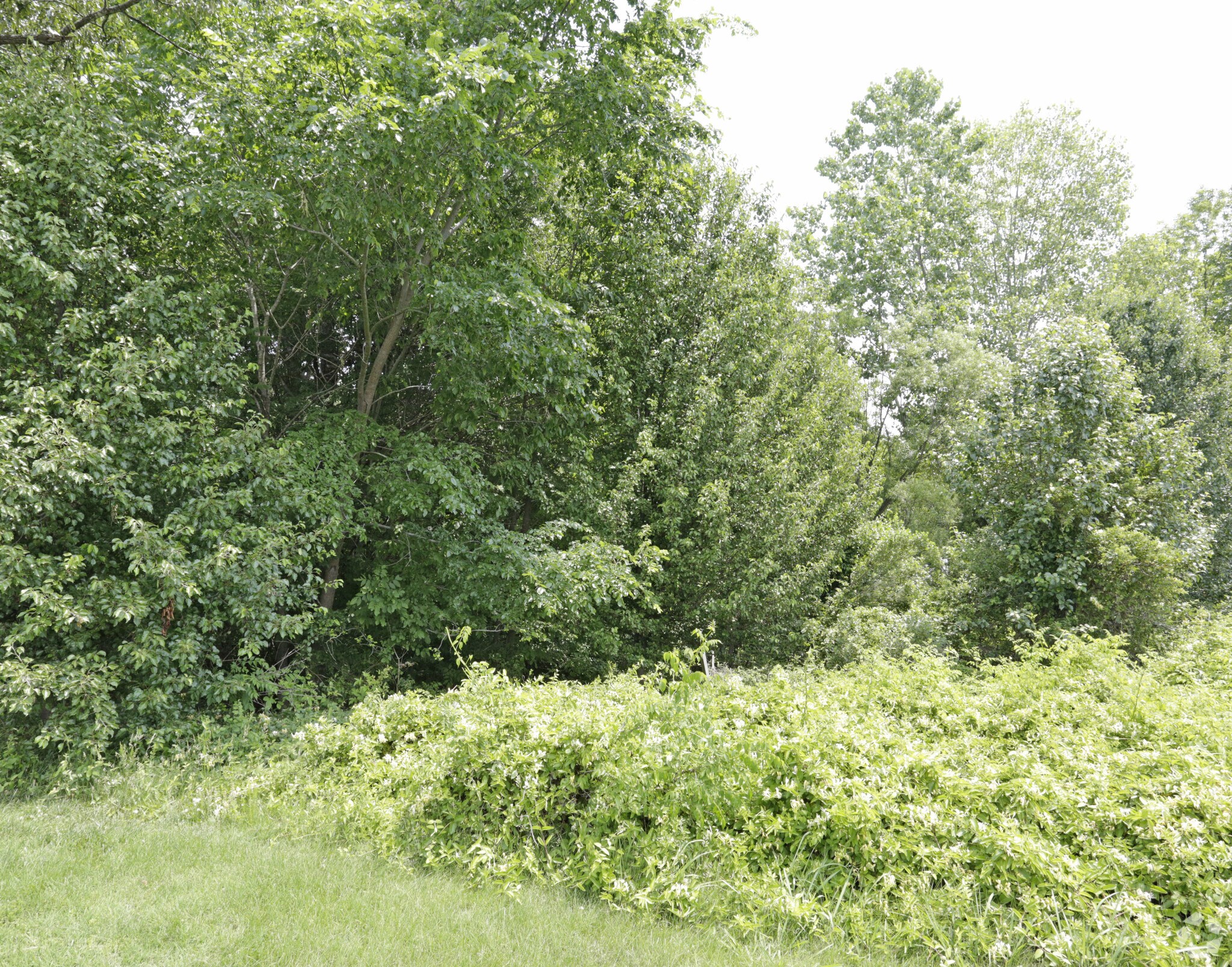 9621 Northeast Pky, Matthews, NC for sale Primary Photo- Image 1 of 1