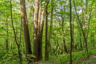 More details for 0 Bidwell Rd, Mill Run, PA - Land for Sale