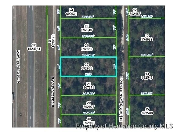 0 Nicasio Jay Ave, Weeki Wachee, FL for sale - Building Photo - Image 1 of 1