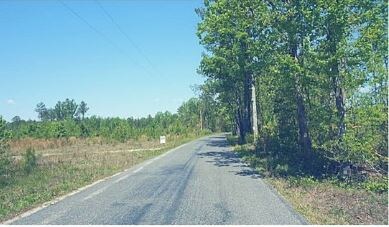 Bull Church Rd, Ruther Glen, VA for sale - Primary Photo - Image 1 of 1