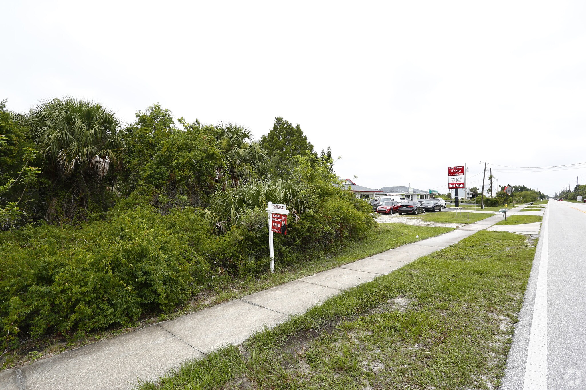 3181 Shoal Line Blvd, Spring Hill, FL for sale Primary Photo- Image 1 of 1