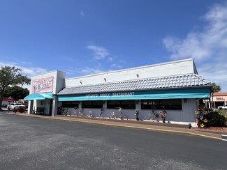 More details for 35000 US Highway 19 N, Palm Harbor, FL - Retail for Lease