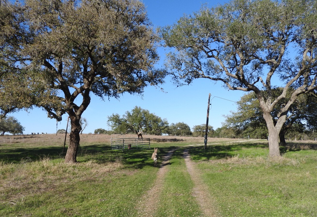 Orange Ln, Beeville, TX 78102 Land for Sale