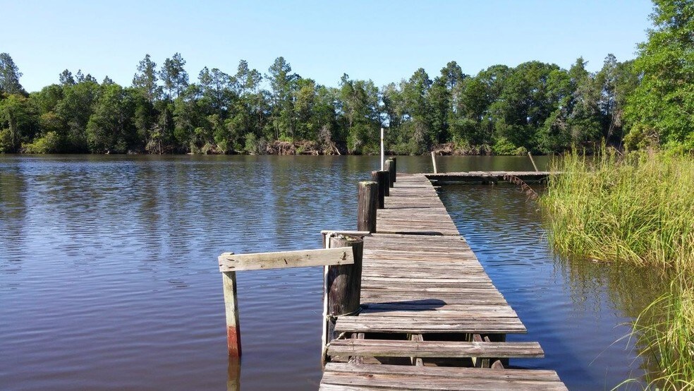 Sealy Ln, Wewahitchka, FL 32465