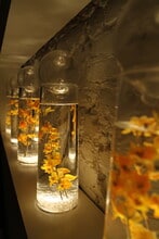 806 Stiles St, Baltimore, MD for lease Interior Photo- Image 2 of 14