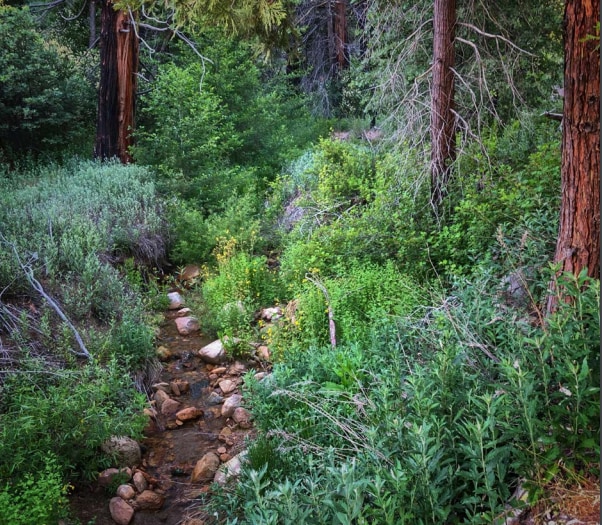 Highway 330, Running Springs, CA for sale - Building Photo - Image 1 of 11