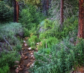 More details for Highway 330, Running Springs, CA - Land for Sale