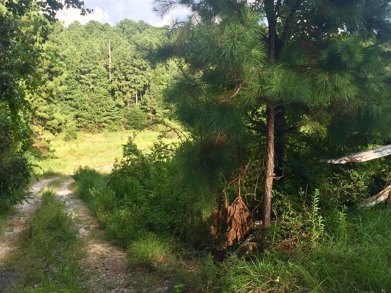 TBD US HWY 69 NORTH, Colmesneil, TX for sale - Building Photo - Image 1 of 1