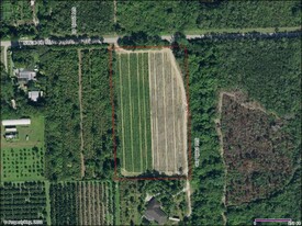 5 Acres - Owner Financed Property