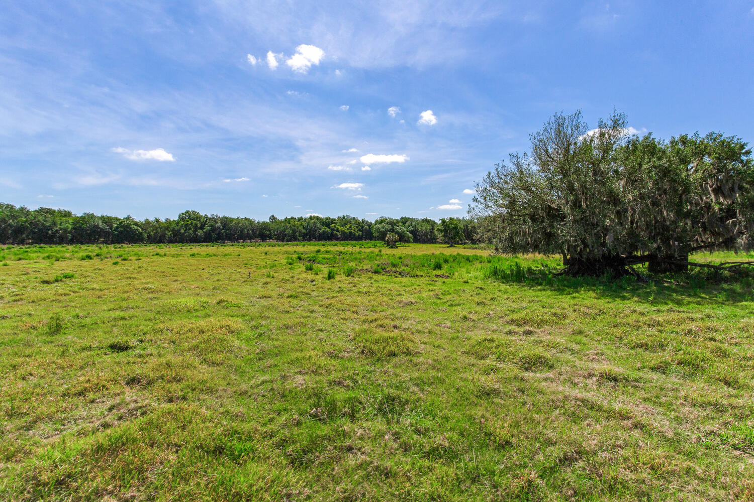 419 Jameson Rd, Lithia, FL for sale Primary Photo- Image 1 of 15