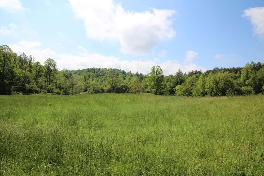 0 Nora McGee Rd, Lenoir, NC for sale - Primary Photo - Image 1 of 1