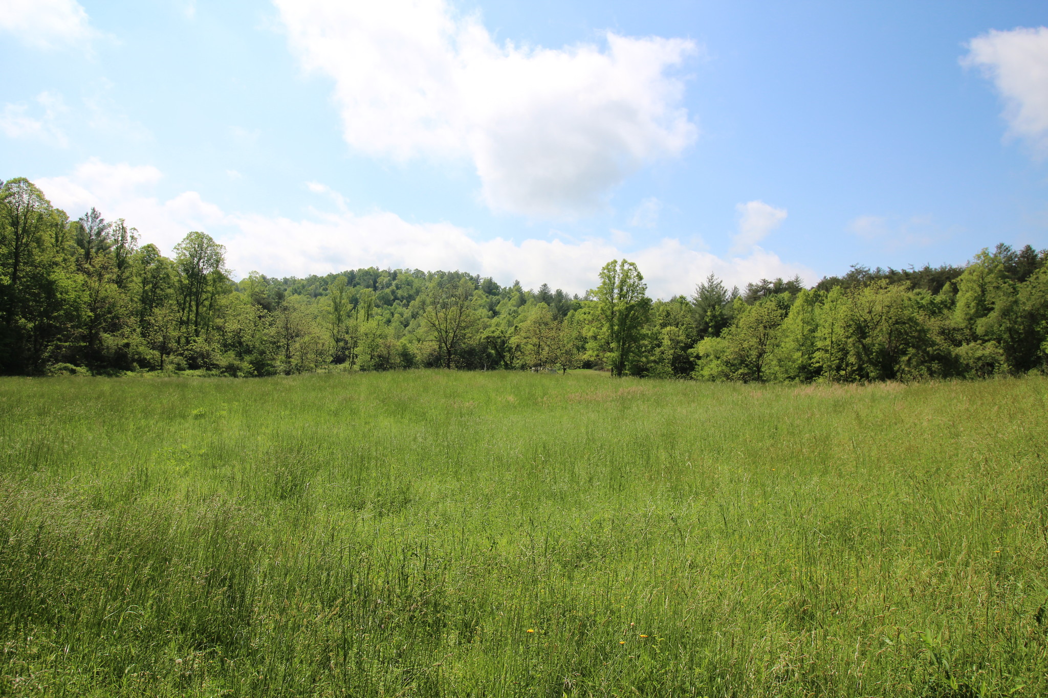 0 Nora McGee Rd, Lenoir, NC for sale Primary Photo- Image 1 of 1