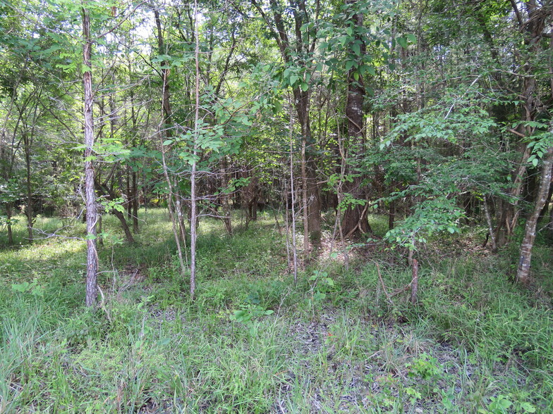 Boatright Well Road, Otter Creek, FL 32683 - Boatright Well Road ...