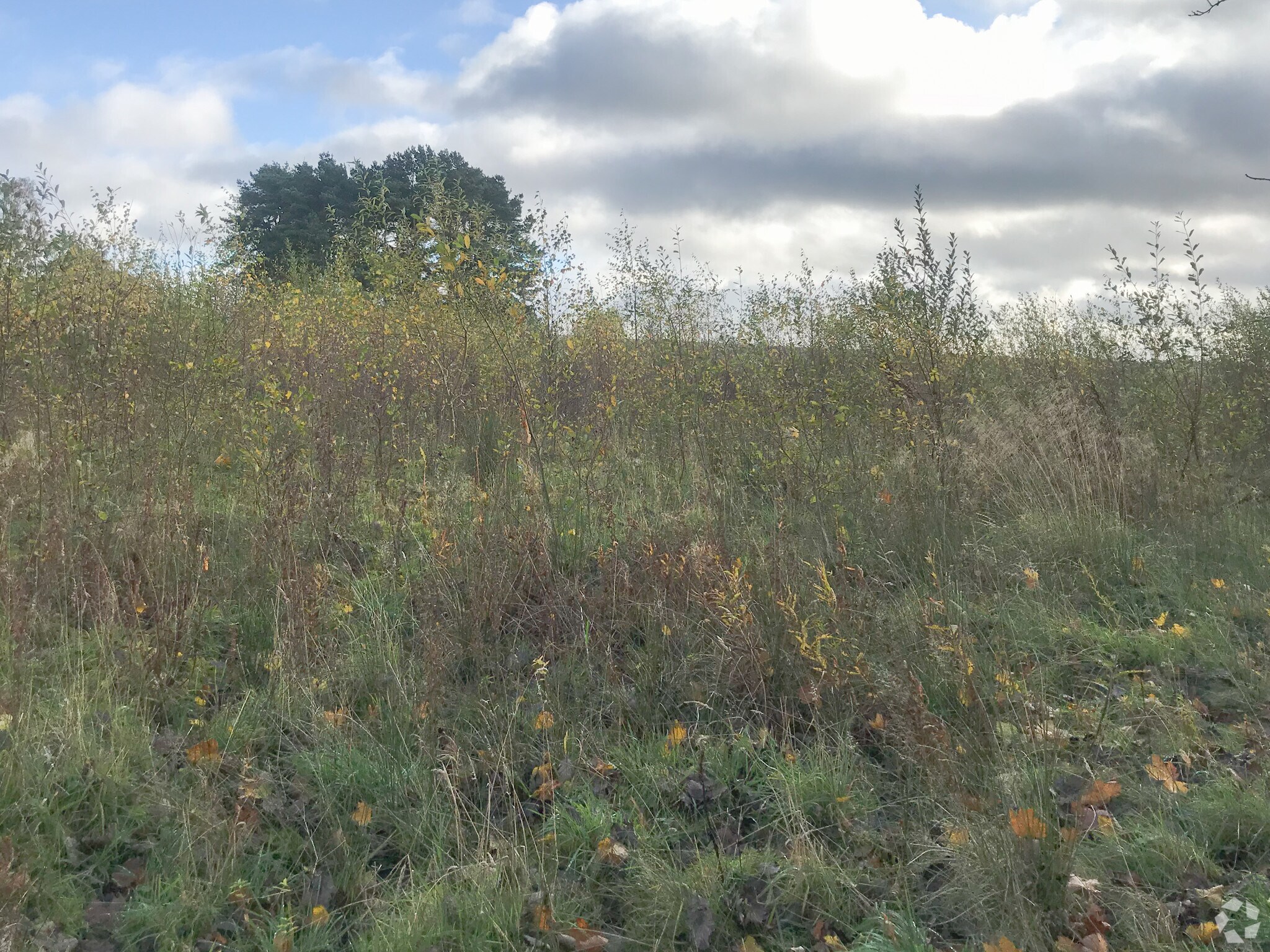 Chanonry Rd S, Carluke for sale Primary Photo- Image 1 of 1