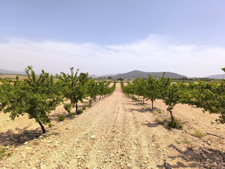 Land in Úbeda for sale - Building Photo - Image 1 of 6