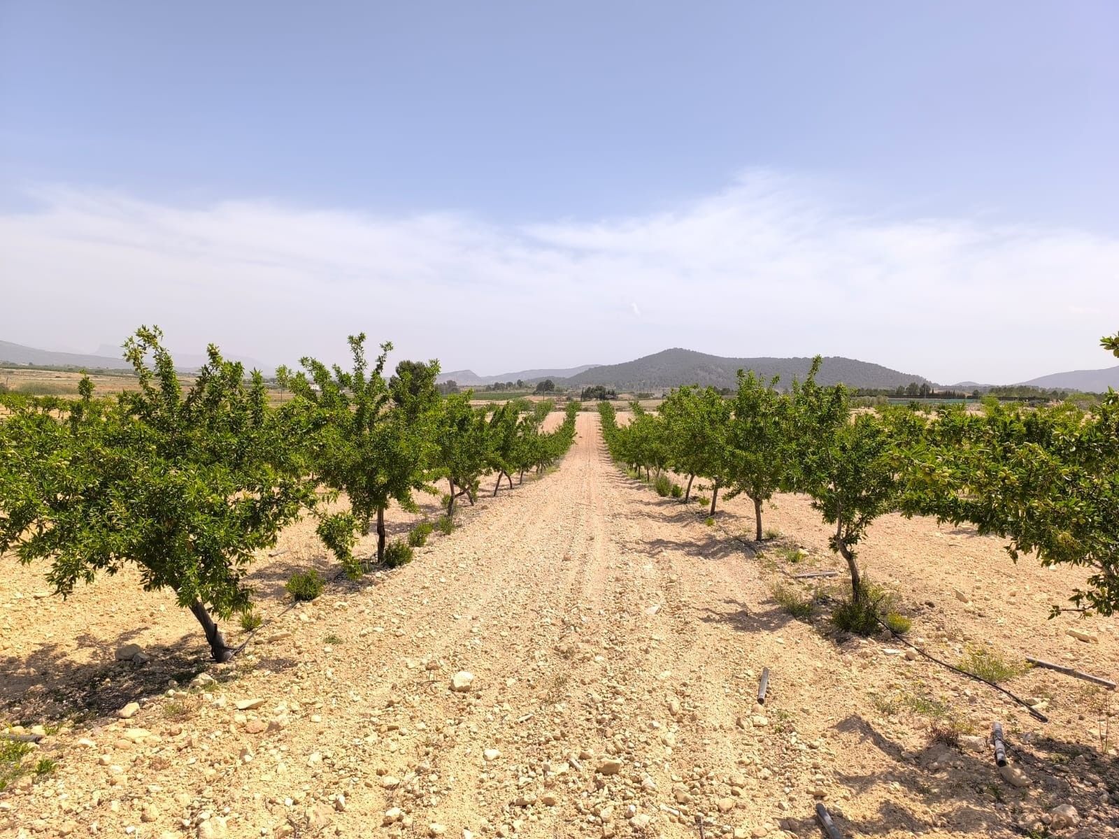 Land in Úbeda for sale Building Photo- Image 1 of 7