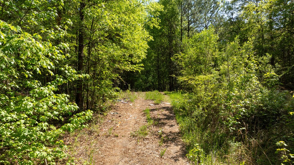 Lexington/Baldwin Park, Lagrange, GA for sale - Aerial - Image 3 of 21