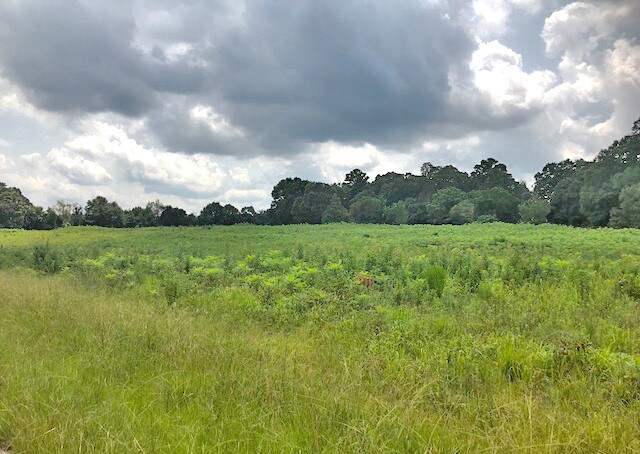 807 Belk Dr, Anderson, SC for sale Other- Image 1 of 1