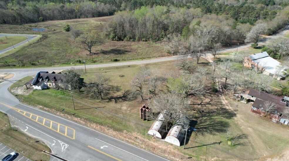 32 GA Highway 137 W, Buena Vista, GA for sale - Aerial - Image 2 of 56