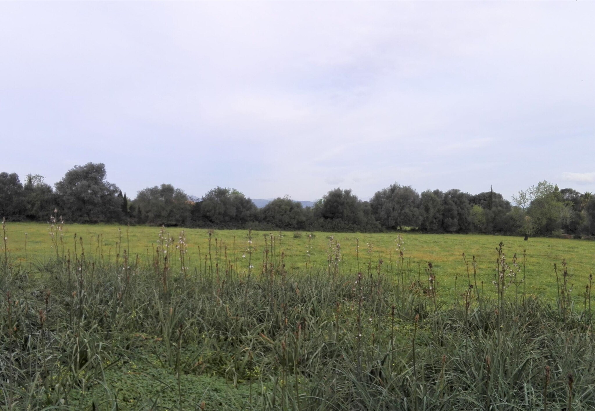 Land in Campos, Islas Baleares for sale Aerial- Image 1 of 3