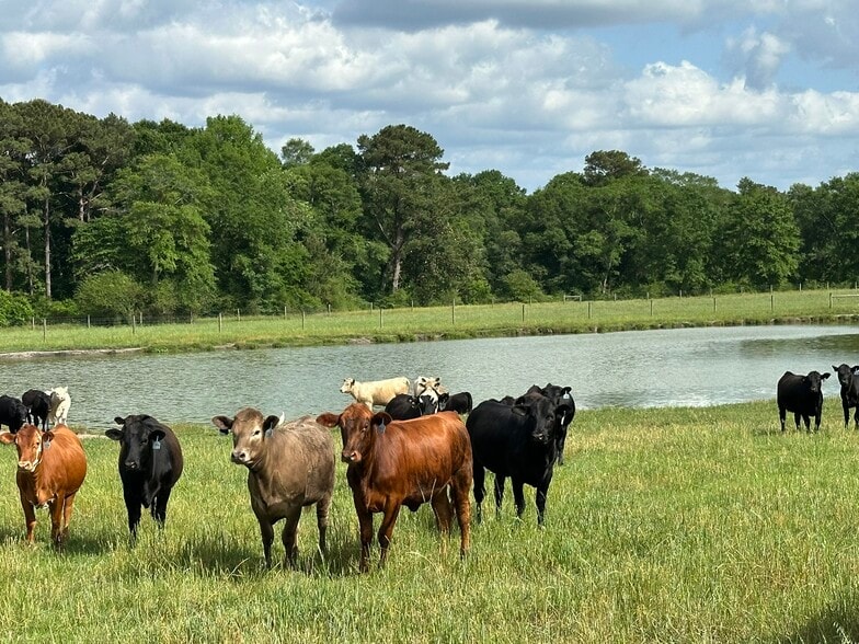 Millside Road, Laurel Hill, FL for sale - Other - Image 1 of 28