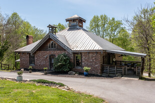 Elkin Creek Vineyard - Vineyard