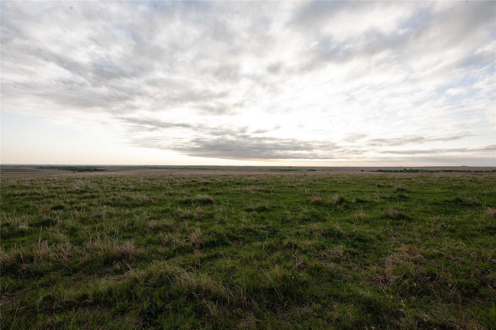 12370 Fortenberry Rd, Sanger, TX for sale Aerial- Image 1 of 1