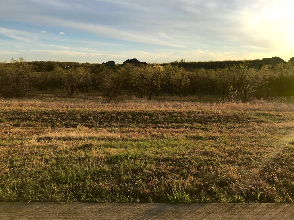 1227 Preserve Blvd, Cedar Hill, TX for sale Building Photo- Image 1 of 1