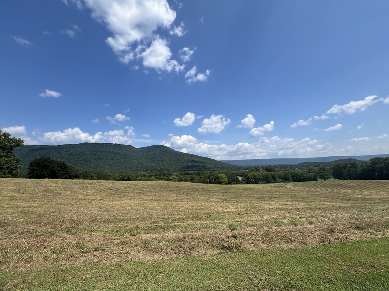 260 Old Deer Head Cove Rd, Rising Fawn, GA for sale - Building Photo - Image 3 of 128