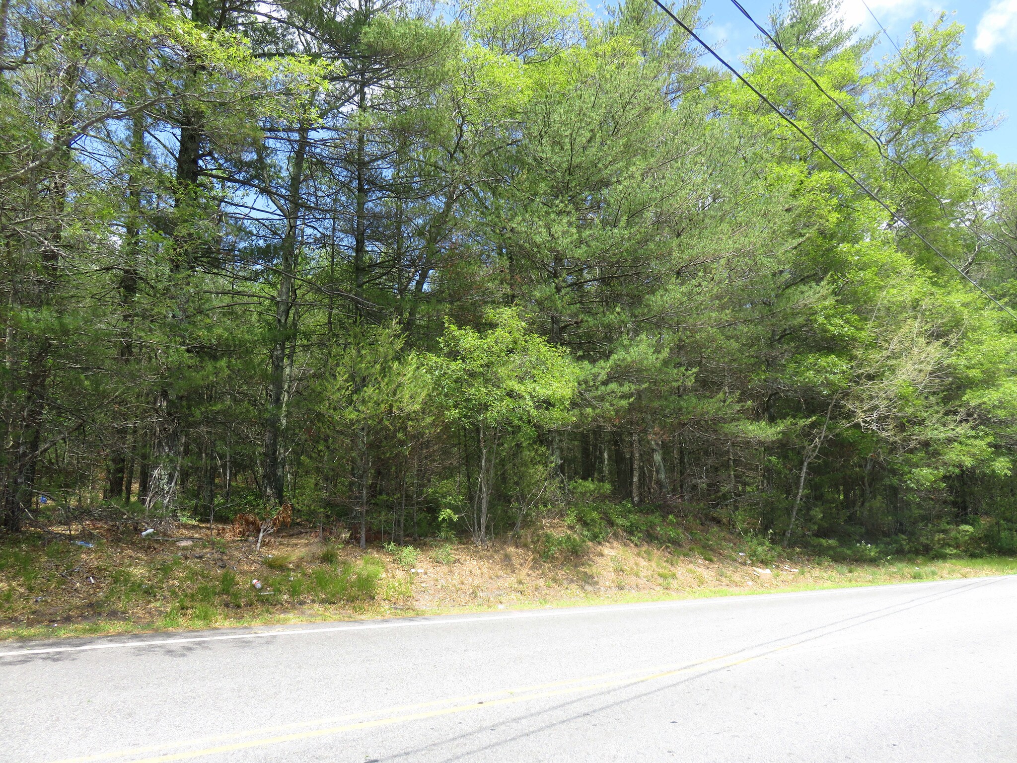 94 Forest St, Carver, MA for sale Primary Photo- Image 1 of 1