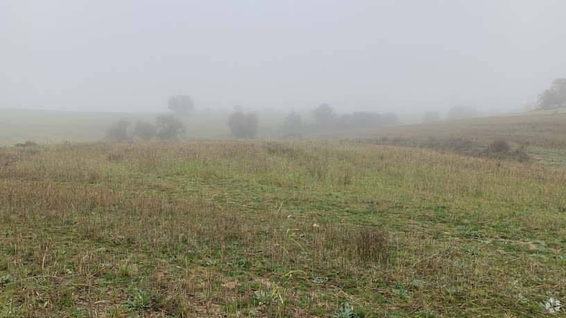 Polígono 12, Villaviciosa de Odón, Madrid for sale - Building Photo - Image 2 of 14