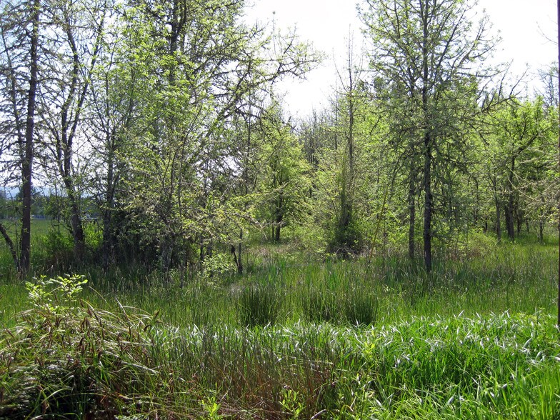 Sweet Lane & Talemena Dr, Cottage Grove, OR for sale - Building Photo - Image 2 of 15