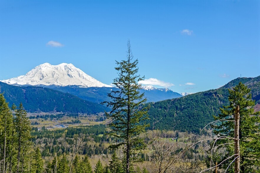 206 Lutkins Rd, Elbe, WA for sale - Other - Image 1 of 1