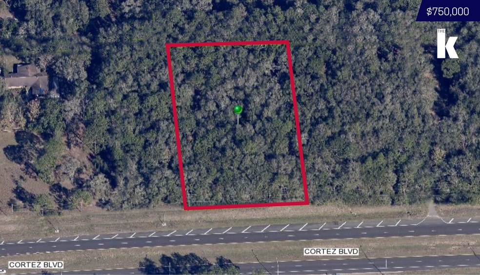29301 Cortez Blvd, Brooksville, FL for sale - Primary Photo - Image 1 of 1