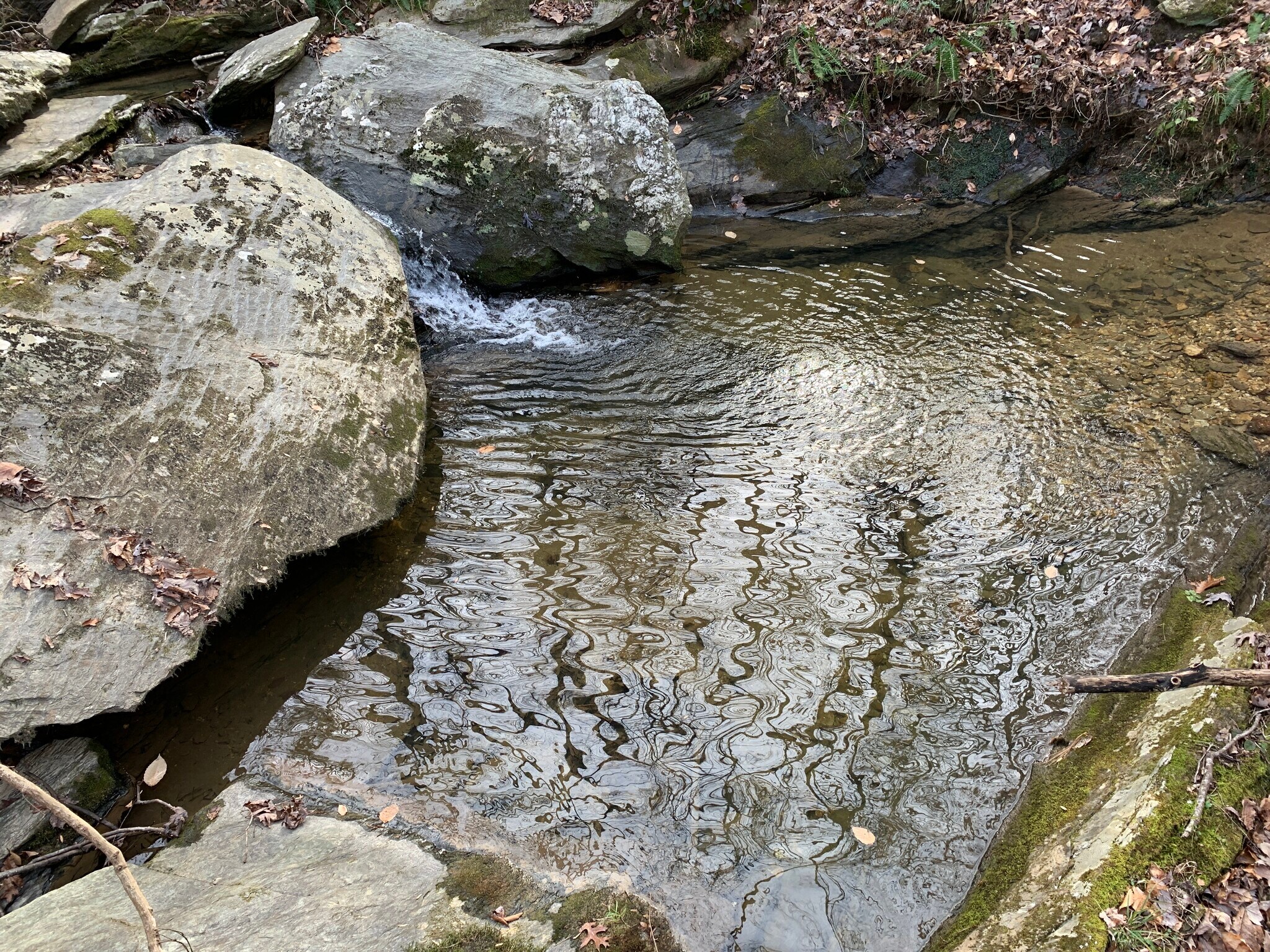 Felton Rockmart Rd, Buchanan, GA for sale Primary Photo- Image 1 of 1