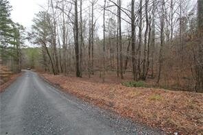 0 Highway 53, Jasper, GA for sale - Primary Photo - Image 1 of 1