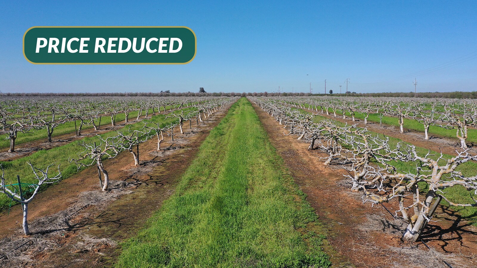 S. of Ave. 26 E. of Rd. 24 (4 ranches), Chowchilla, CA for sale Building Photo- Image 1 of 1