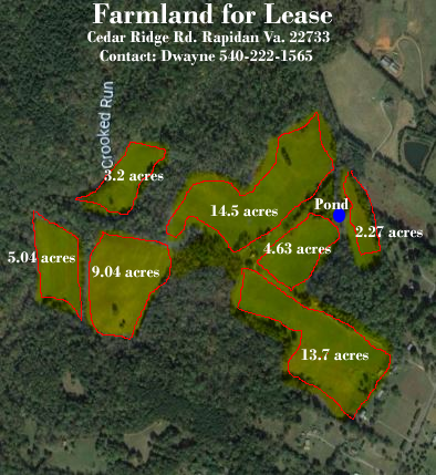 24134 Cedar Ridge Rd, Rapidan, VA for lease - Aerial - Image 1 of 1