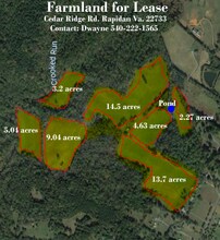 24134 Cedar Ridge Rd, Rapidan, VA - aerial  map view