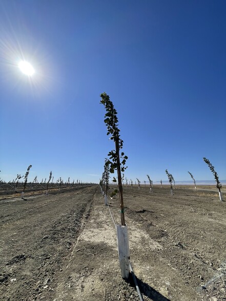 W Floral Ave, San Joaquin, CA for sale - Building Photo - Image 1 of 6